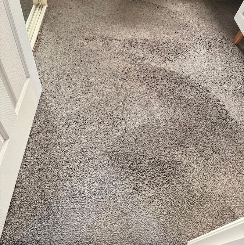 Adelaide Fibredry Pty Ltd carpet cleaning work in Greenwith