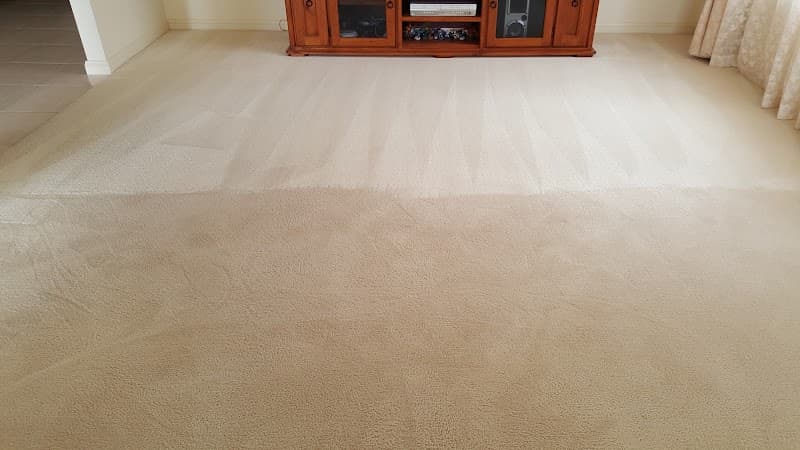 Adelaide Fibredry Pty Ltd carpet cleaning work in Greenwith