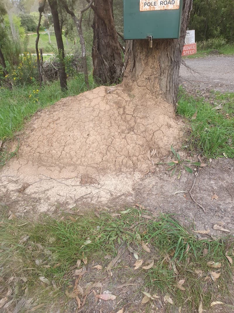 Adelaide Hills Pest Control pest control work in Mount Barker
