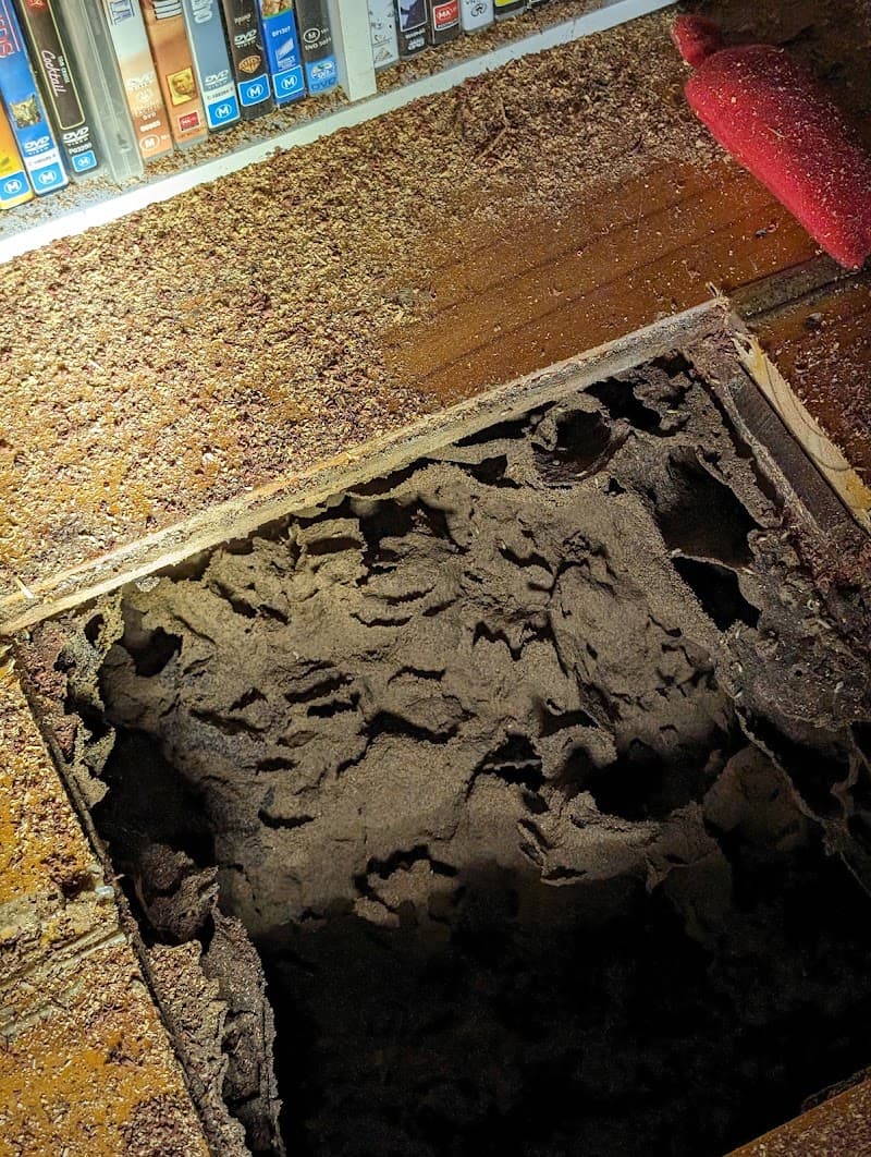 Adelaide Hills Pest Control pest control work in Mount Barker