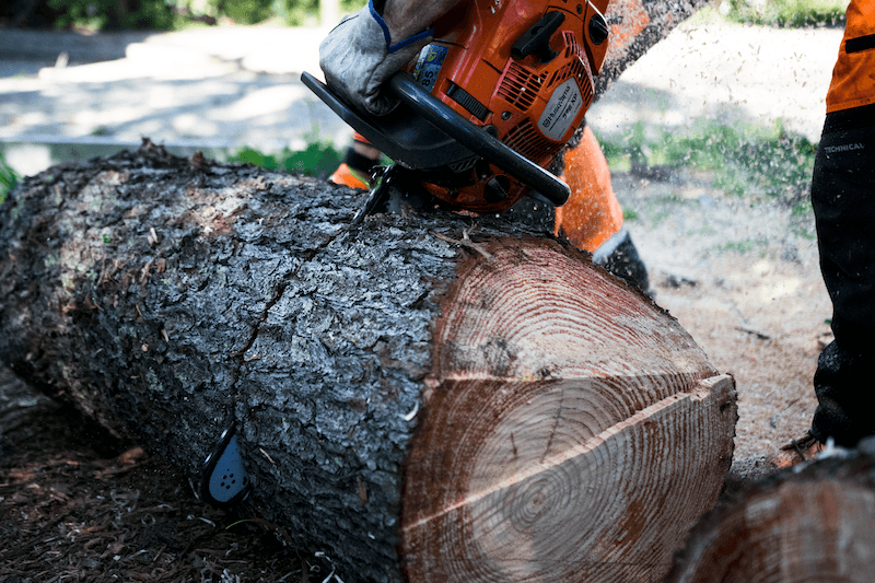 Adelaide Hills Tree & Stump Removal Pty Ltd tree services work in Aldgate