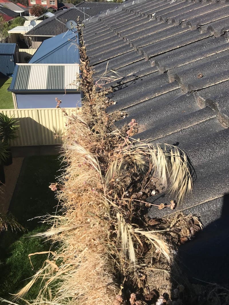 Adelaide Outdoor Cleaning Solutions gutter cleaning work in Paralowie
