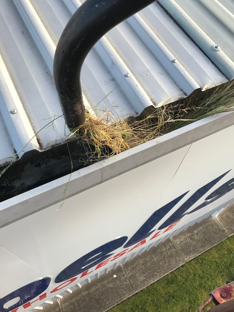 Adelaide Outdoor Cleaning Solutions gutter cleaning work in Paralowie