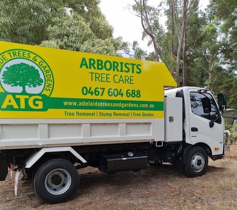 Adelaide Trees and Gardens tree services work in Clarence Gardens