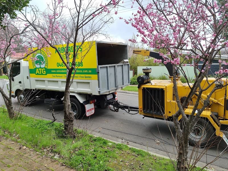 Adelaide Trees and Gardens tree services work in Clarence Gardens