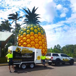 Adios ASBESTOS Testing and Removal Sunshine Coast