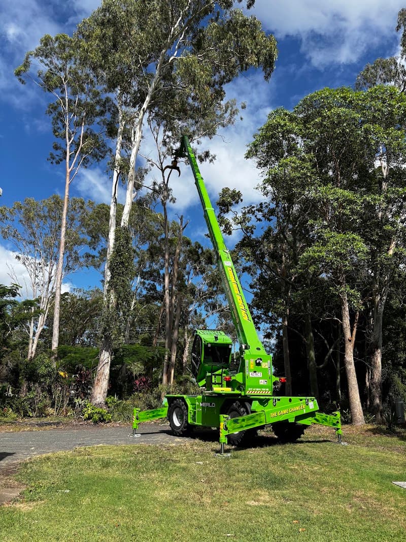 Advance Tree Works tree services work in Dundowran