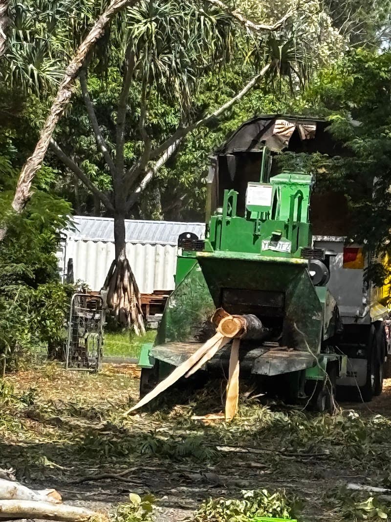 Advance Tree Works tree services work in Dundowran