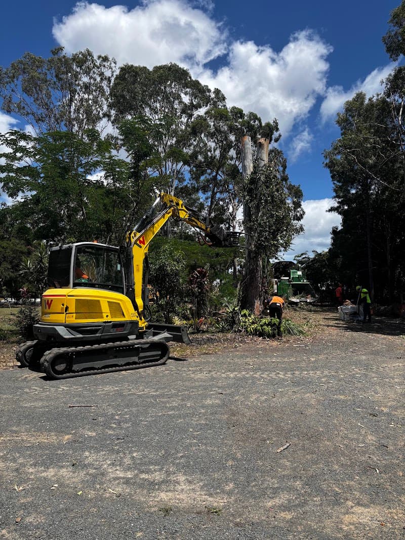 Advance Tree Works tree services work in Dundowran