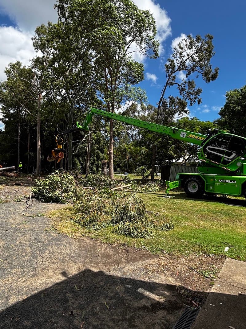 Advance Tree Works tree services work in Dundowran
