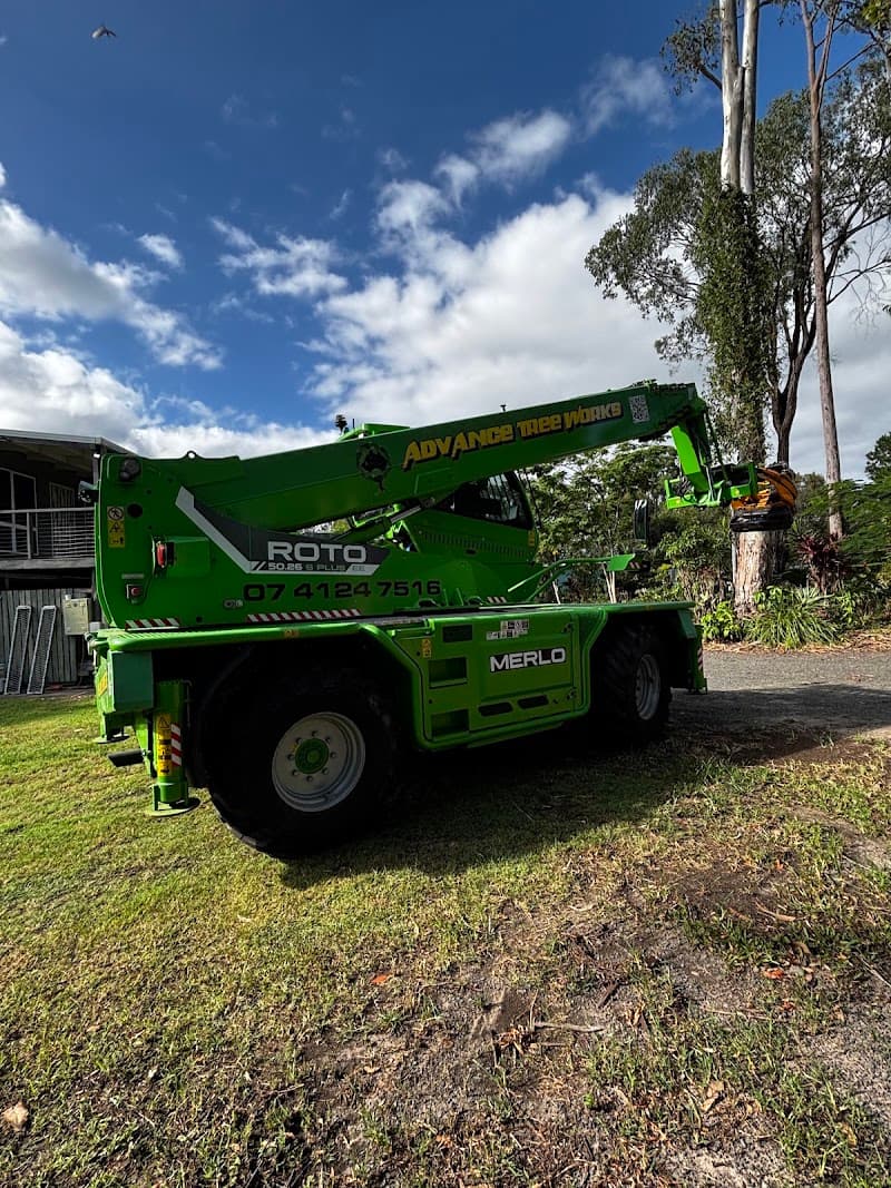 Advance Tree Works tree services work in Dundowran