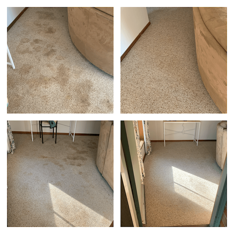 Advanced Floor Care Bendigo carpet cleaning work in Eaglehawk