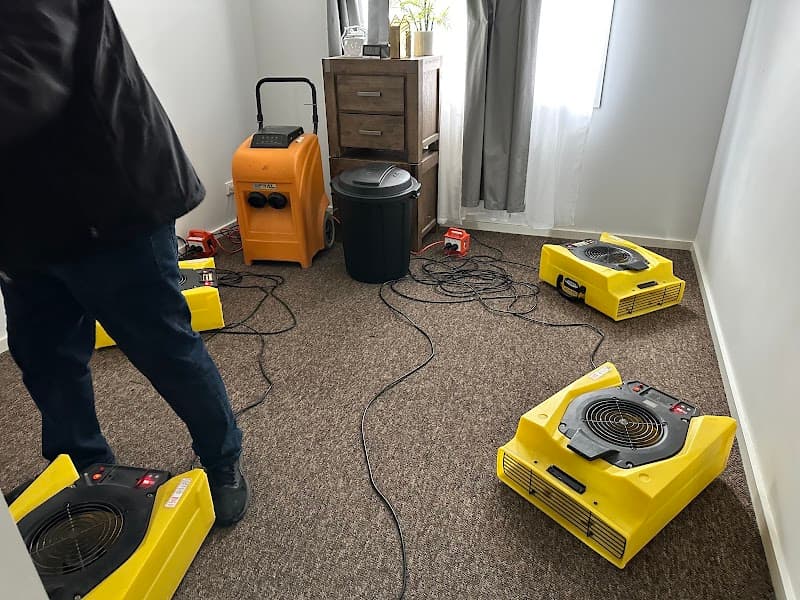 Advanced Floor Care Bendigo carpet cleaning work in Eaglehawk