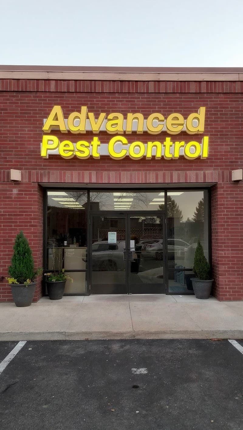 Advanced Pest Control pest control work in Wickham