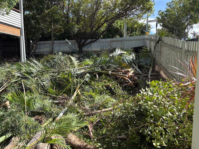 Advanced Tree Surgery Sunshine Coast tree services work in Yandina Creek