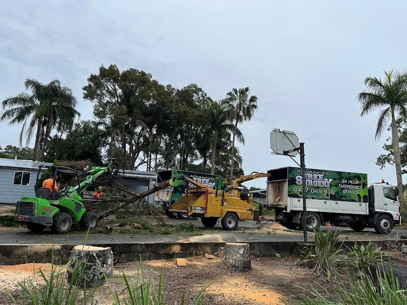 Advanced Tree Surgery Sunshine Coast tree services work in Yandina Creek