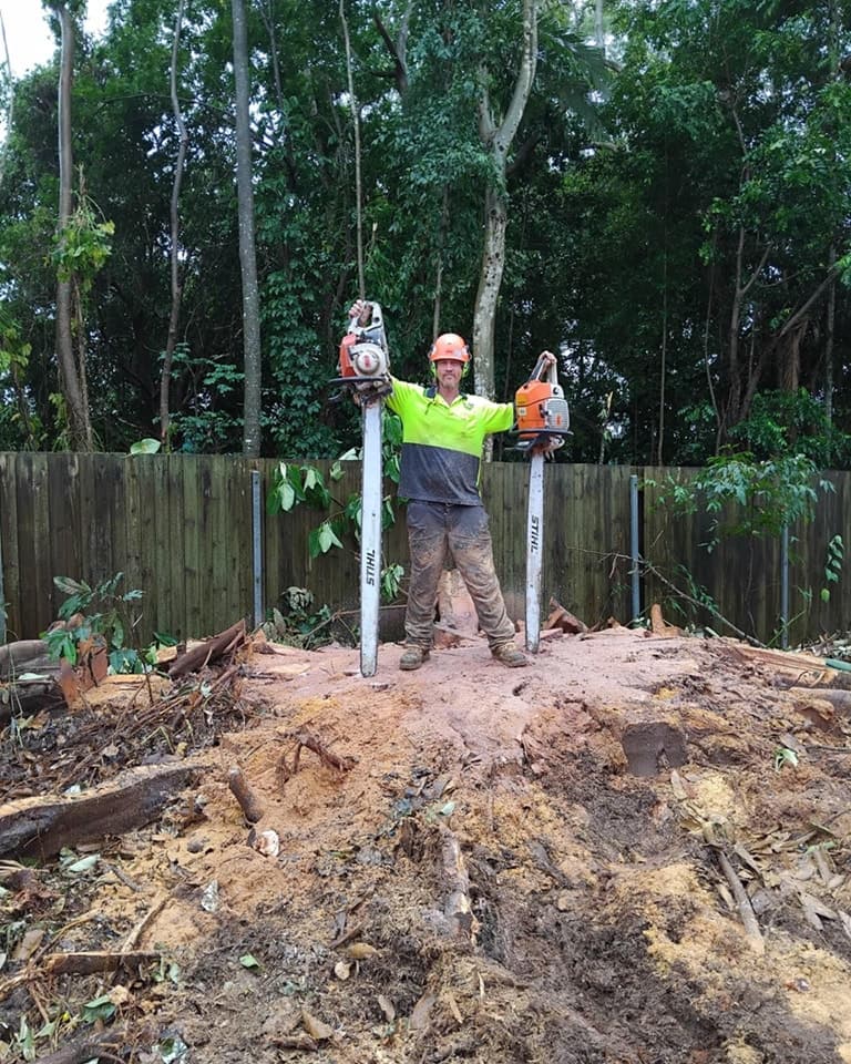 Advanced Vegetation Management tree services work in Stratford