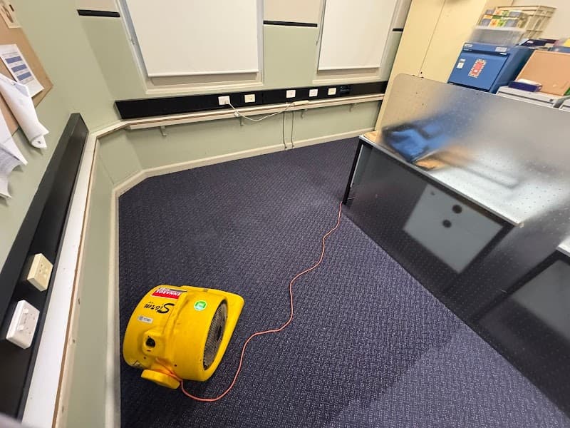 Affordable Carpet & Pressure Cleaning- Southport carpet cleaning work in Southport