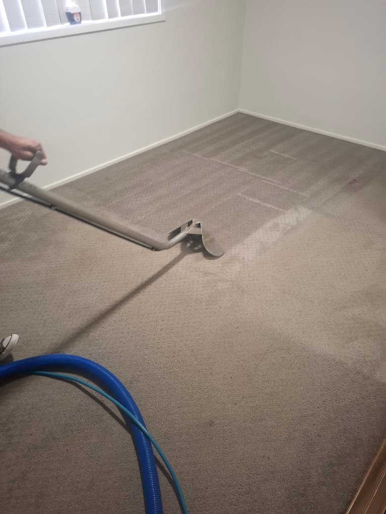 Affordable carpet cleaning carpet cleaning work in South Penrith
