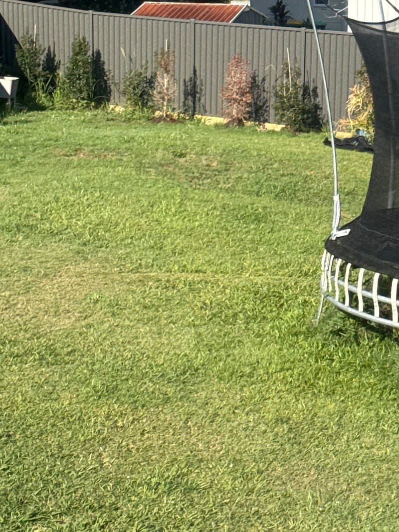 Affordable fencing goldcoast fencing work in Upper Coomera