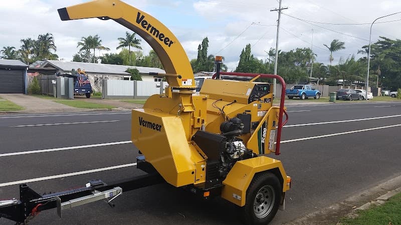 Affordable Palm & Tree Maintenance tree services work in Clifton Beach