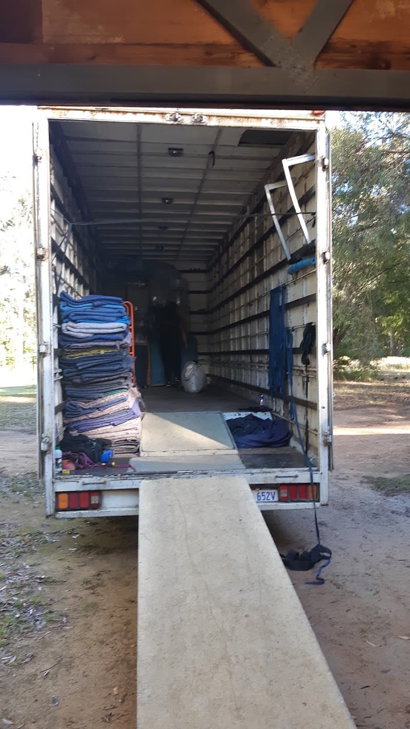 Affordable Removals removalist work in Picton East