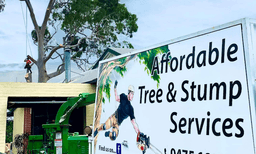 Affordable Tree & Stump Services