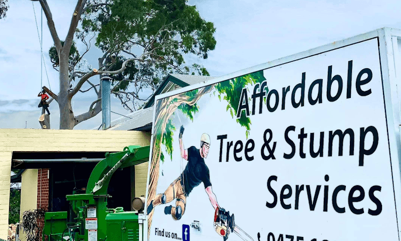 Affordable Tree & Stump Services tree services work in Noarlunga Downs