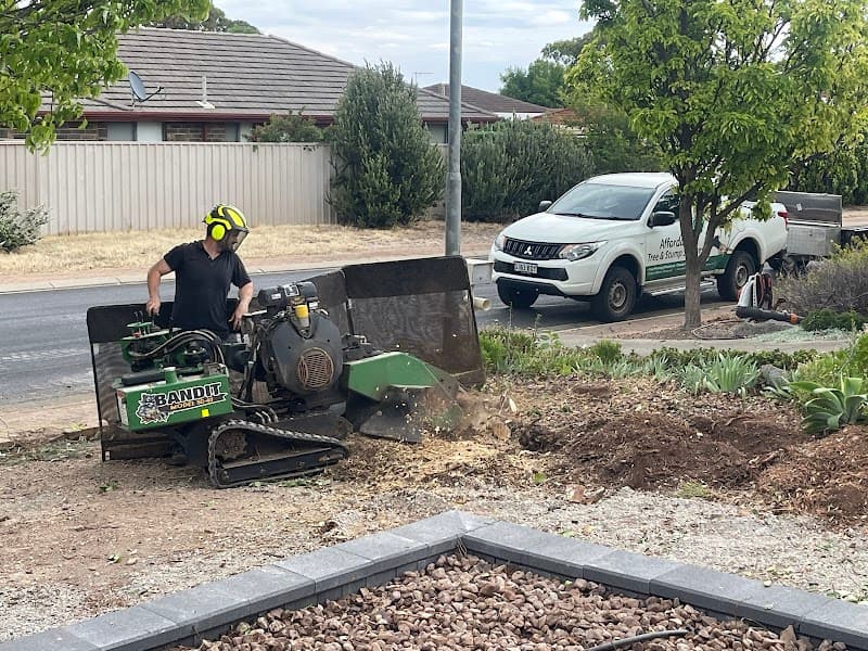 Affordable Tree & Stump Services tree services work in Noarlunga Downs
