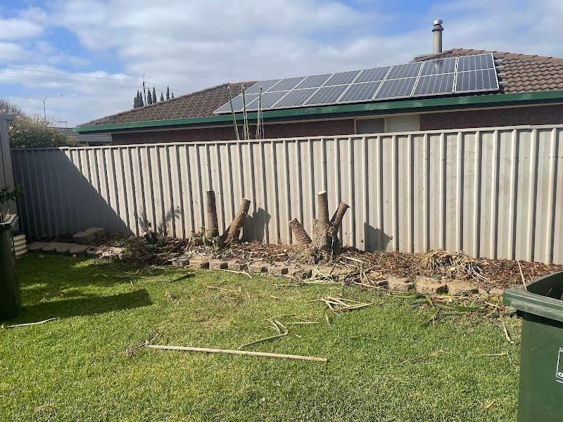 Affordable Tree & Stump Services tree services work in Noarlunga Downs