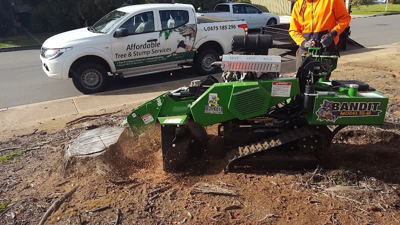 Affordable Tree & Stump Services tree services work in Noarlunga Downs