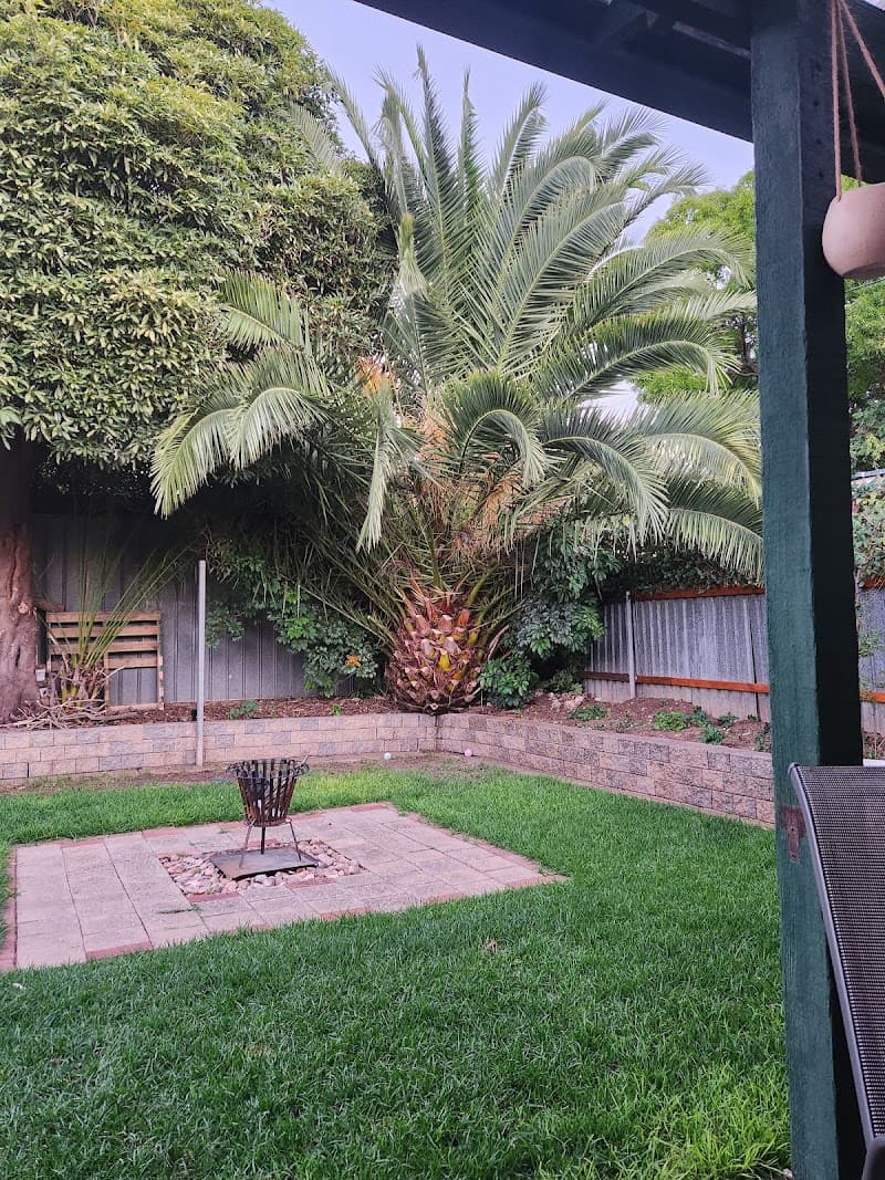 Affordable Tree & Stump Services tree services work in Noarlunga Downs