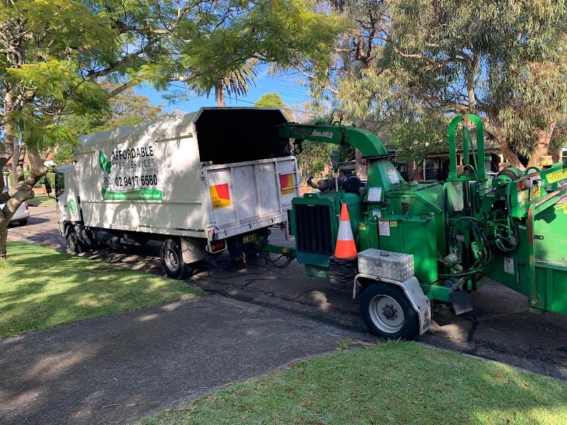 Affordable Tree Services Northern Beaches tree services work in Forestville