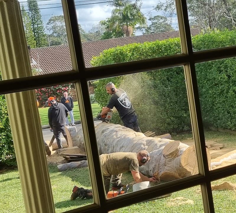 Affordable Tree Services Northern Beaches tree services work in Forestville