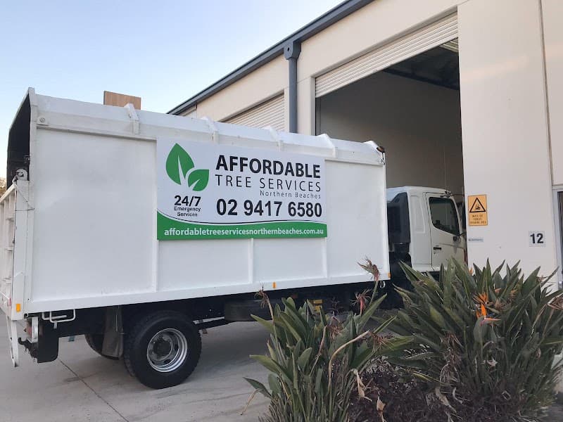 Affordable Tree Services Northern Beaches tree services work in Forestville