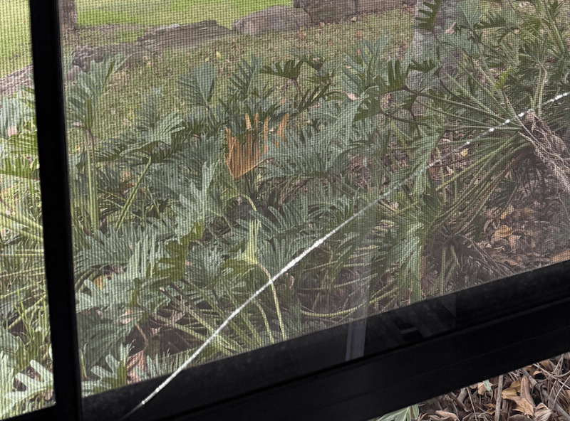 AGC Glass glass & glazier work in Darra
