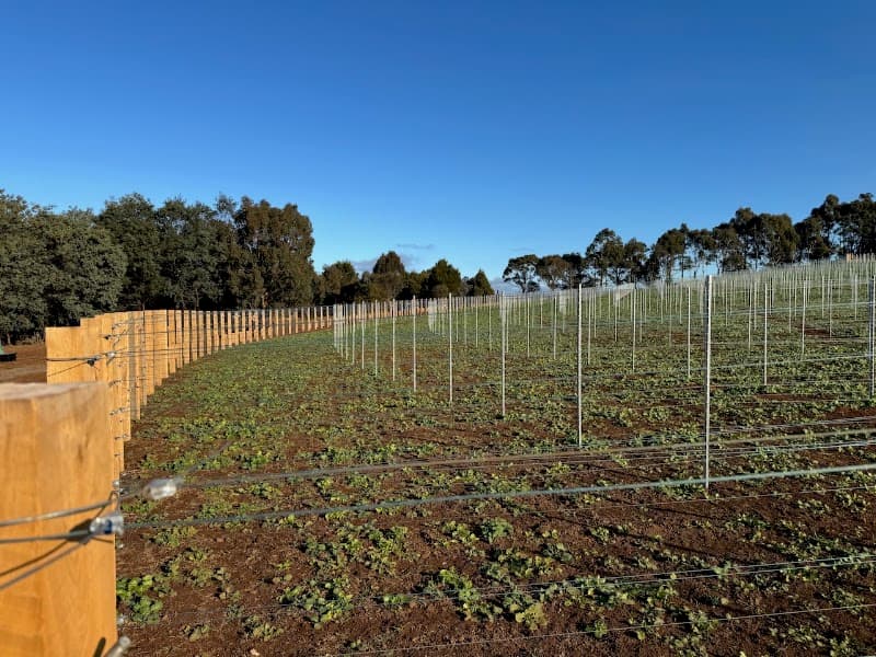 AGCON Fencing fencing work in Brown Hill