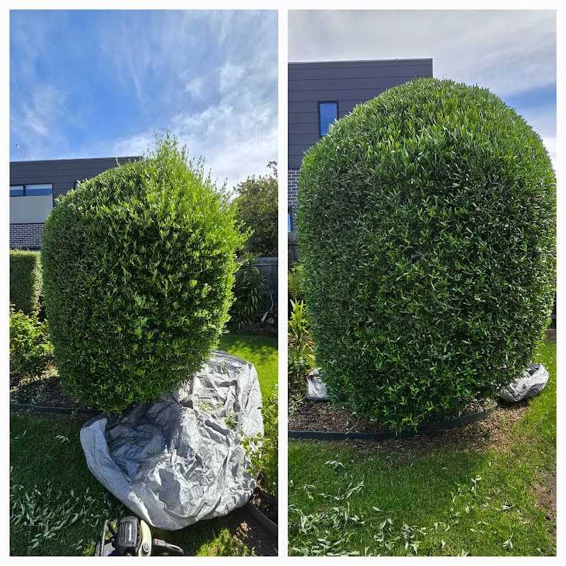 Aged Care Gardening Services lawn care work in Bittern