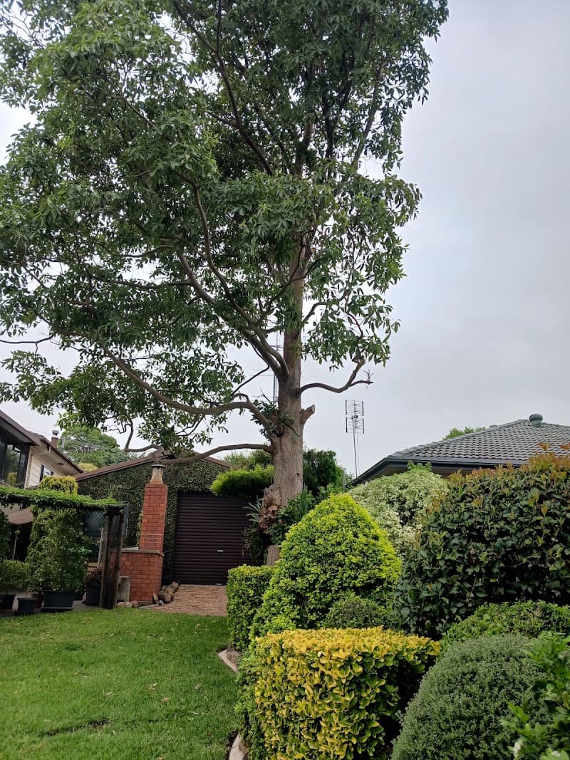 Agility Professional Tree Service tree services work in Toronto