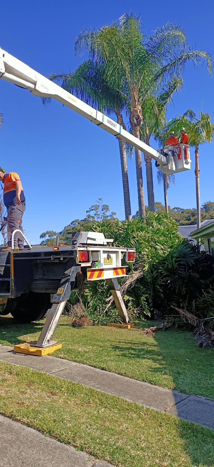 Agility Professional Tree Service tree services work in Toronto