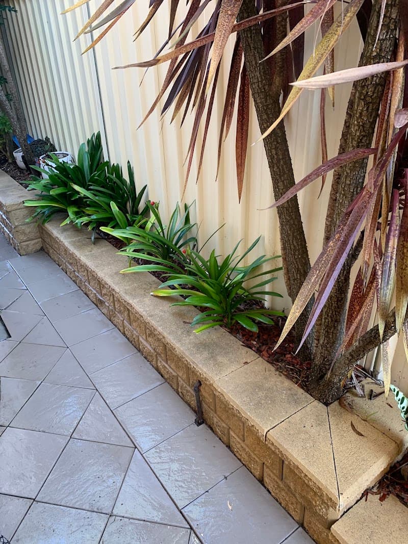 Air Force One High Pressure Cleaning pressure washing work in Cronulla