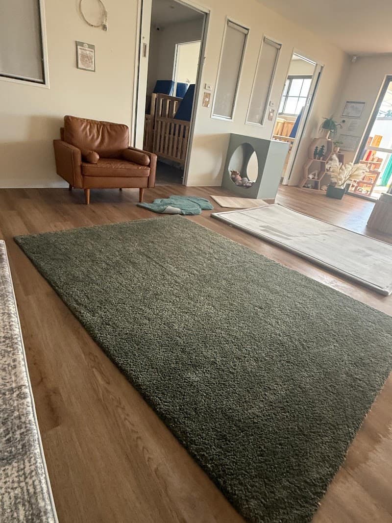 Albury Wodonga EcoClean carpet cleaning work in Wodonga