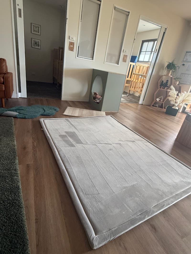 Albury Wodonga EcoClean carpet cleaning work in Wodonga