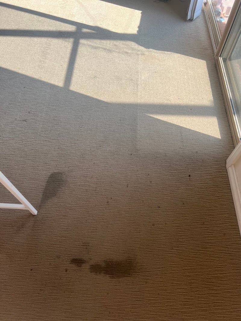 Aldonga Carpet Care carpet cleaning work in West Wodonga