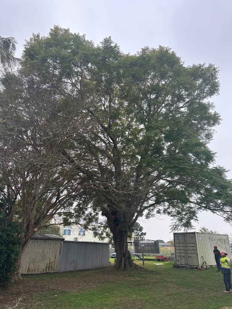 Alex's Vegetation landscaping work in Port Macquarie