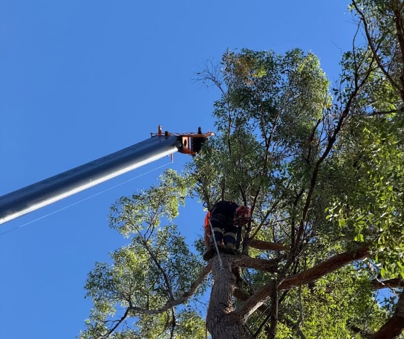 Alex's Vegetation landscaping work in Port Macquarie
