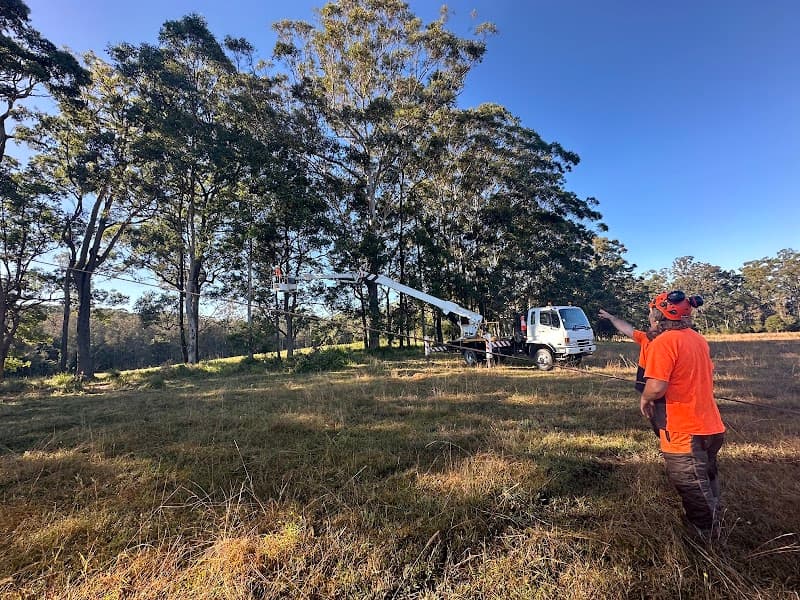 Alex's Vegetation landscaping work in Port Macquarie