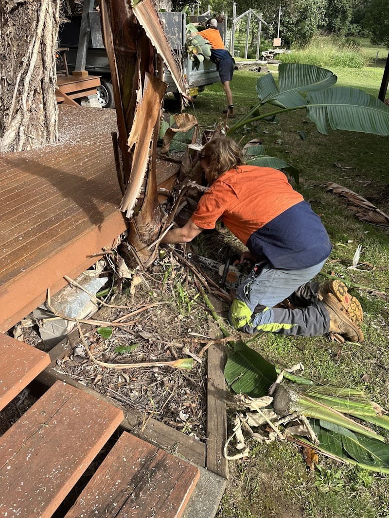 Alex's Vegetation landscaping work in Port Macquarie