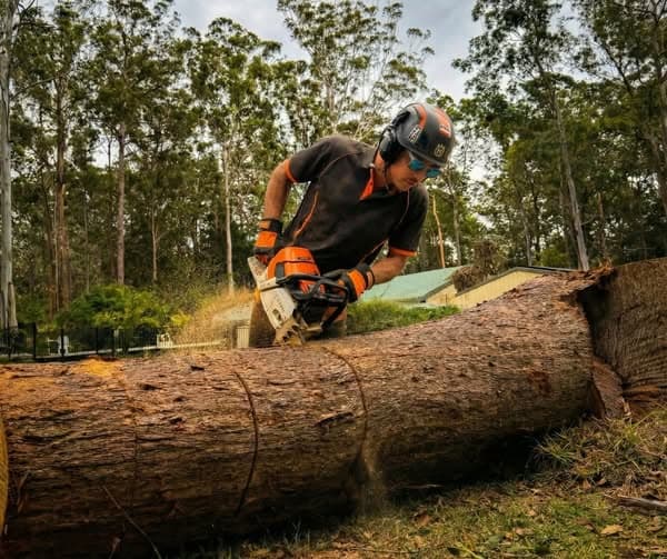Alex's Vegetation landscaping work in Port Macquarie