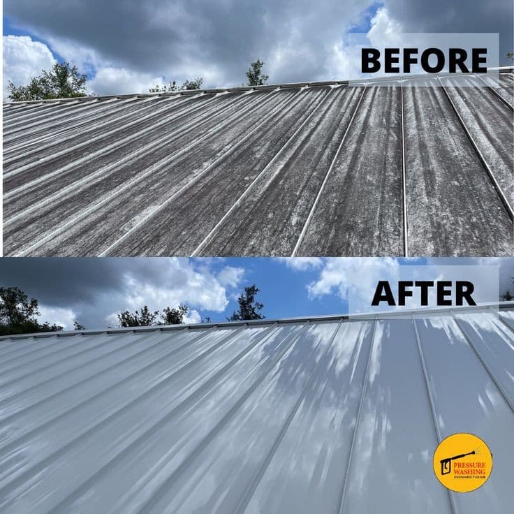 Alfa Pressure & Gutter Cleaning pressure washing work in Cloverdale